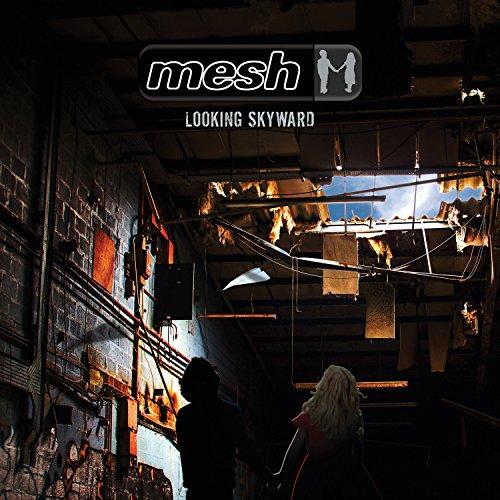 Mesh - Looking Skyward