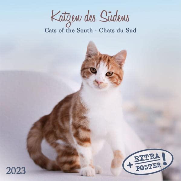 Katzen des Südens 2023: Kalender 2023 (Artwork Edition)