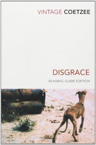 Disgrace (Vintage Classics)