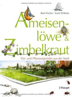 Ameisenlöwe und Zimbelkraut: Tier- und Pflanzenporträts aus der Stadt