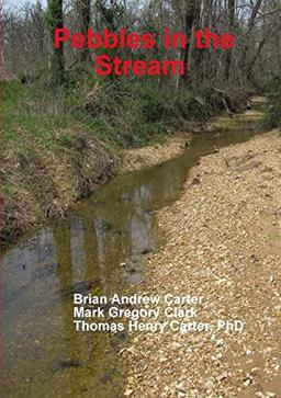 Pebbles in the Stream