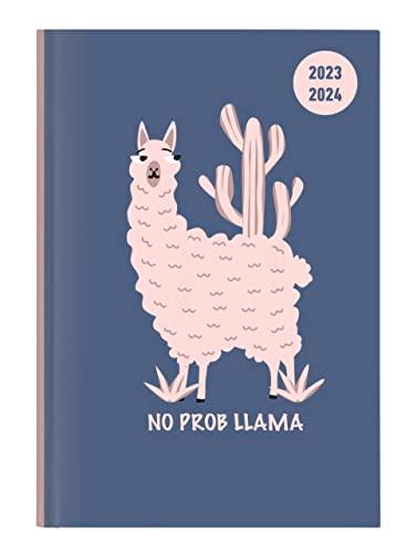 Collegetimer Llama 2023/2024 - Schüler-Kalender A5 (15x21 cm) - Lama - Weekly - 224 Seiten - Terminplaner - Alpha Edition (Collegetimer A5 Weekly)