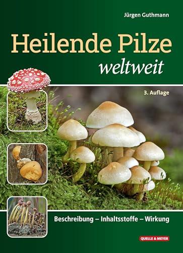 Heilende Pilze weltweit: Beschreibung – Inhaltsstoffe – Wirkung