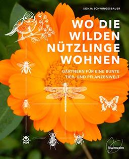 Wo die wilden Nützlinge wohnen: Gärtnern für eine bunte Tier- und Pflanzenwelt