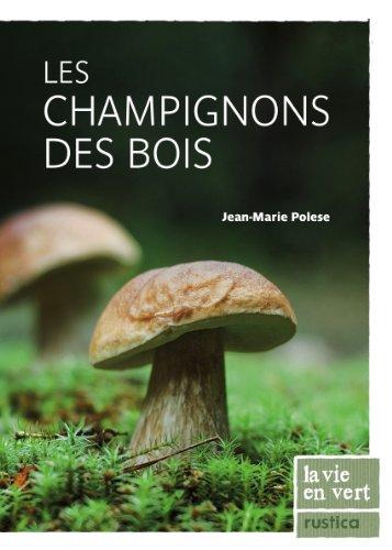 Les champignons des bois