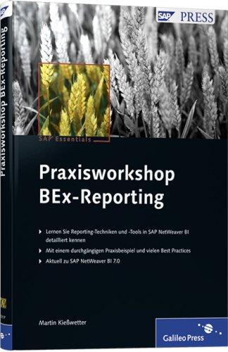 Praxisworkshop BEx-Reporting: Die Reporting-Tools von SAP NetWeaver BI 7.0 (SAP PRESS)