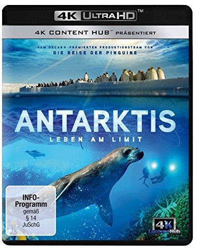 Antarktis - Leben am Limit (4K Ultra HD) [Blu-ray]