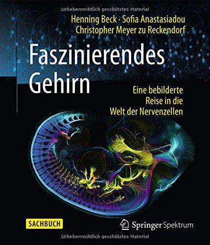 Faszinierendes Gehirn: Eine bebilderte Reise in die Welt der Nervenzellen