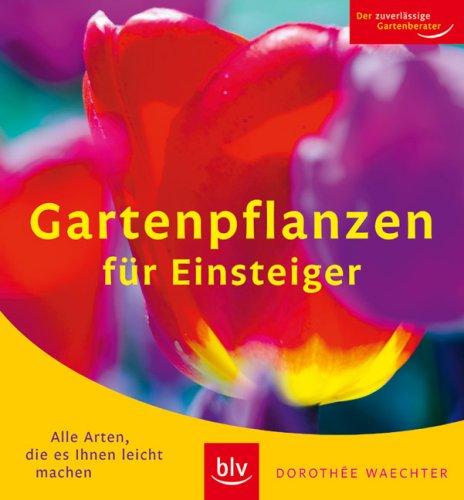 Gartenpflanzen für Einsteiger: Alle Arten, die es Ihnen leicht machen