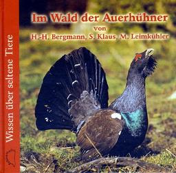 Im Wald der Auerhühner