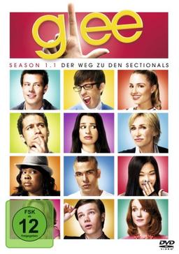 Glee - Season 1.1 [4 DVDs]