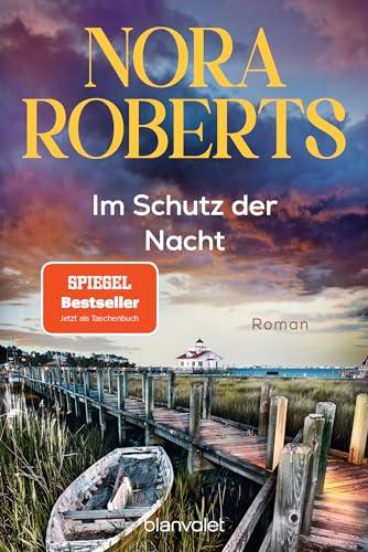 Im Schutz der Nacht: Roman