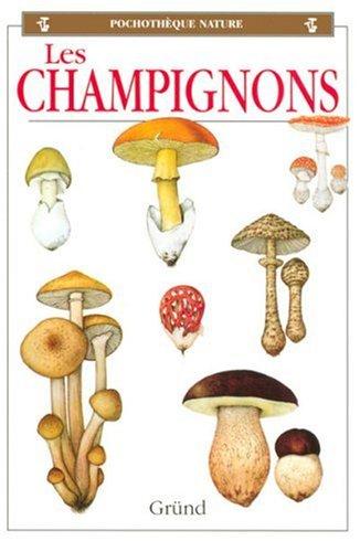 Les champignons