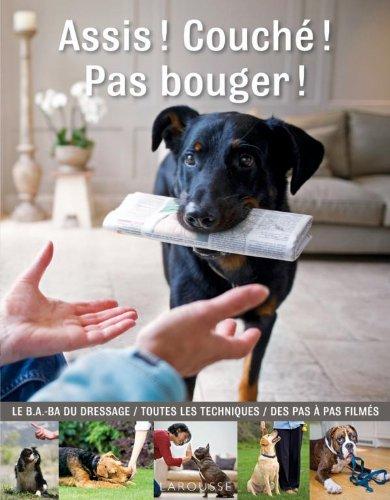 Assis ! Couché ! Pas bouger !