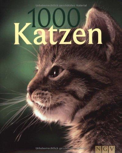 1000 Katzen