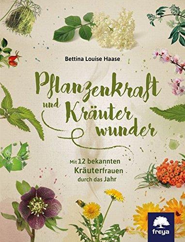 Pflanzenkraft und Kräuterwunder: Mit zwölf bekannten Kräuterfrauen durch das Jahr