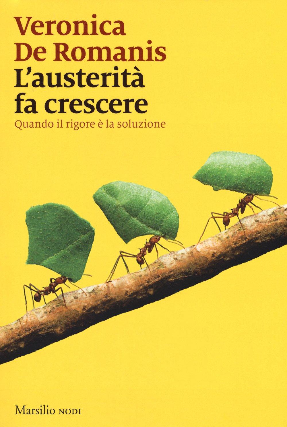 L'austerità fa crescere. Quando il rigore è la soluzione (I nodi)