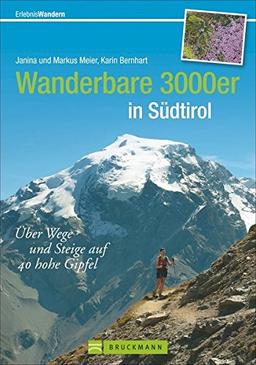 Wanderbare 3000er in Südtirol: Über Wege und Steige auf 40 hohe Gipfel (Erlebnis Bergsteigen)