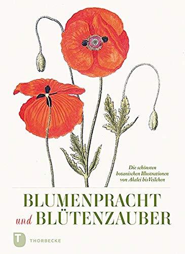 Blumenpracht und Blütenzauber: Die schönsten botanischen Illustrationen von Akelei bis Veilchen