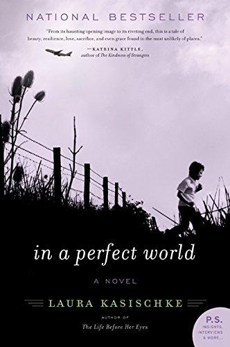 In a Perfect World: A Novel