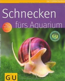 Schnecken fürs Aquarium