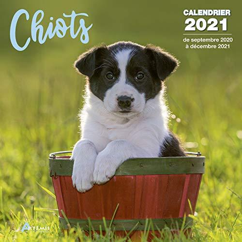 Chiots : calendrier 2021 : de septembre 2020 à décembre 2021