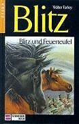 Blitz, Bd.9, Blitz und Feuerteufel