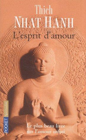 L'esprit d'amour : la pratique du regard profond dans la tradition bouddhiste mahayana