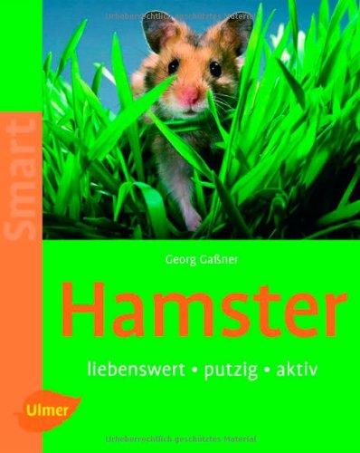 Hamster: Liebenswert - putzig - aktiv