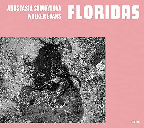 Anastasia Samoylova, Walker Evans Floridas