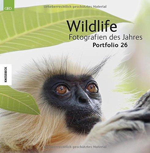 Wildlife Fotografien des Jahres - Portfolio 26