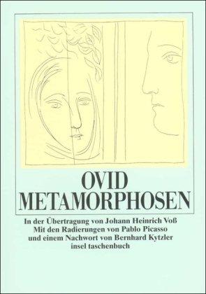 Metamorphosen (insel taschenbuch)