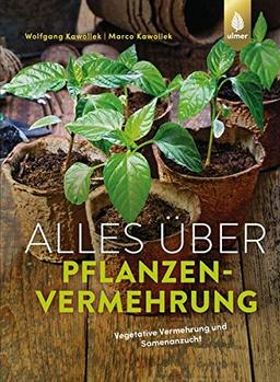 Alles über Pflanzenvermehrung: Vegetative Vermehrung und Samenanzucht