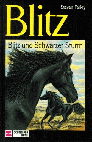 Blitz, Bd.15, Blitz und Schwarzer Sturm