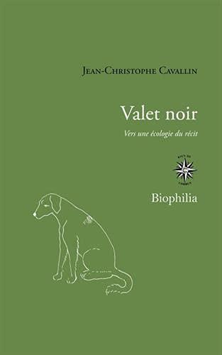 Valet noir : vers une écologie du récit