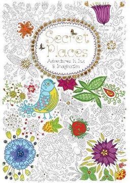 Secret Places (Colouring Book): Adventures in Ink and Imagination (Hobbies and Craft)