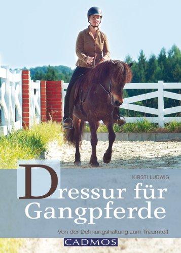 Dressur für Gangpferde: Von der Dehnungshaltung zum Traumtölt