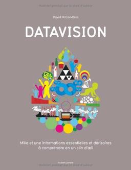 Datavision : mille et une informations essentielles et dérisoires à comprendre en un clin d'oeil