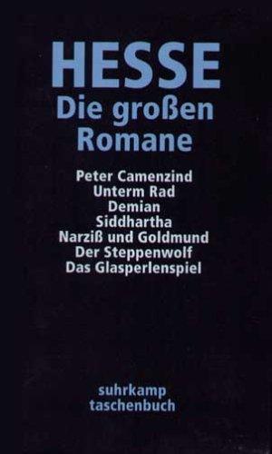 Die großen Romane, 7 Bde.