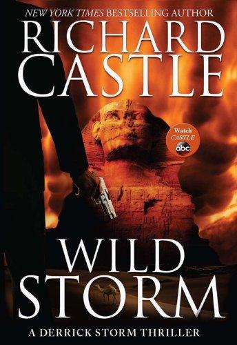 Wild Storm: A Derrick Storm Thriller