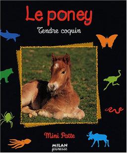 Le poney : tendre coquin