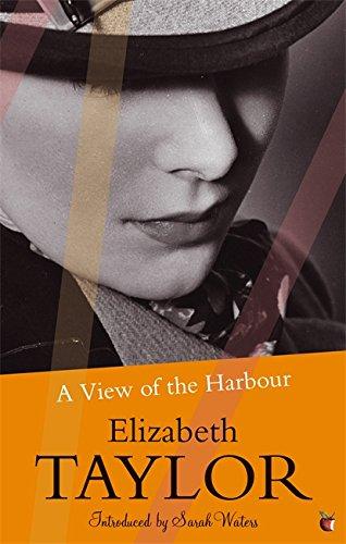 A View of the Harbour: A Virago Modern Classic (VMC)