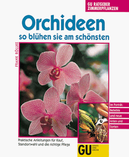 Orchideen. So blühen sie am schönsten