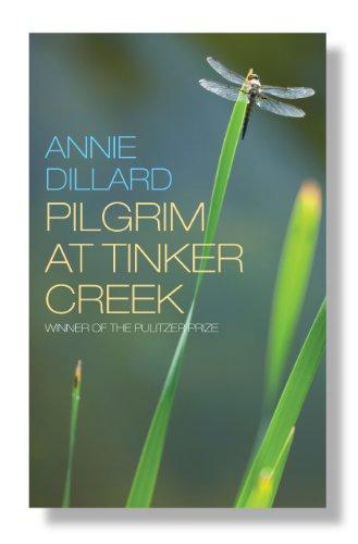 Pilgrim at Tinker Creek