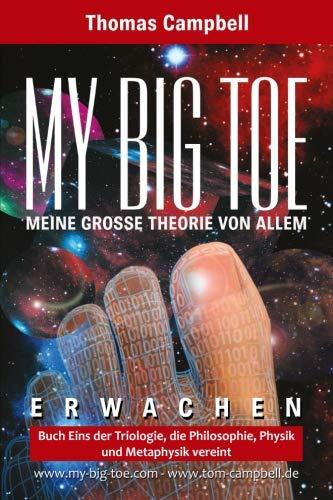 My Big TOE - Meine grosse Theorie von Allem: Buch 1 Entdeckung