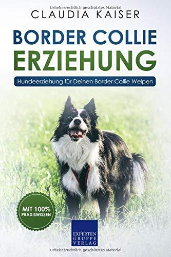 Border Collie Erziehung: Hundeerziehung für Deinen Border Collie Welpen (Border Collie Band, Band 1)