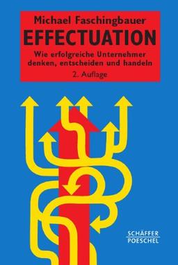 Effectuation: Wie erfolgreiche Unternehmer denken, entscheiden und handeln