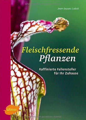 Fleischfressende Pflanzen: Raffinierte Fallensteller für Ihr Zuhause