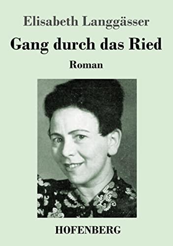 Gang durch das Ried: Roman