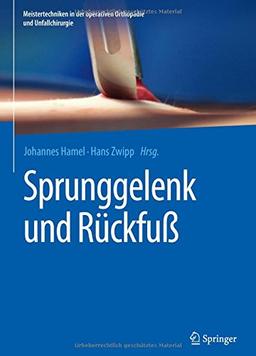 Sprunggelenk und Rückfuß (Meistertechniken in der operativen Orthopädie und Unfallchirurgie)